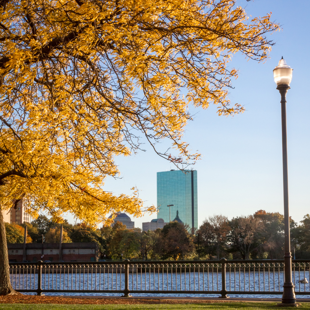 Charles River Esplanade in autumn