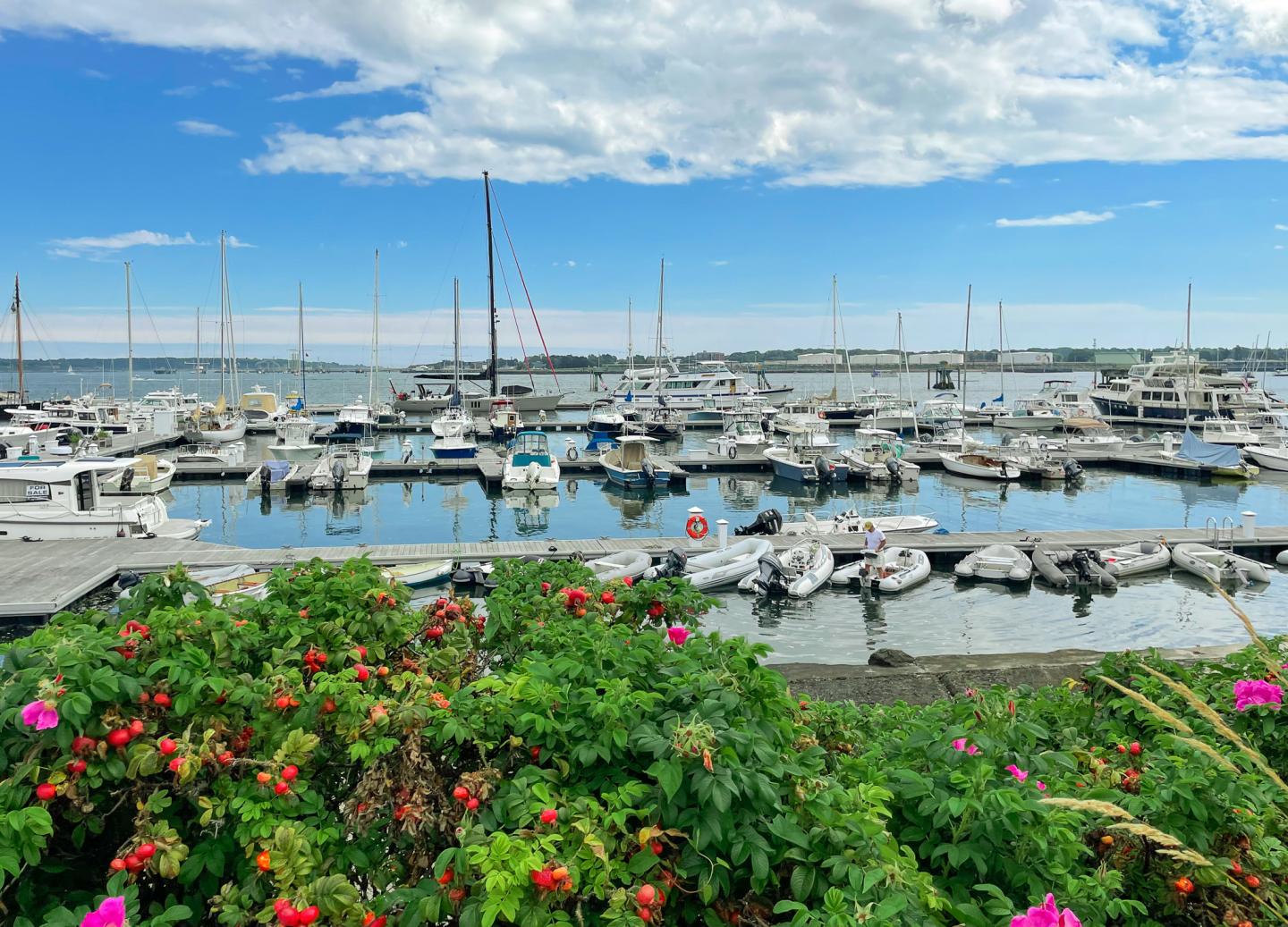 Fore Points Marina